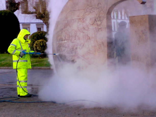 Best Pressure Washing Brick  in Chenoa, IL