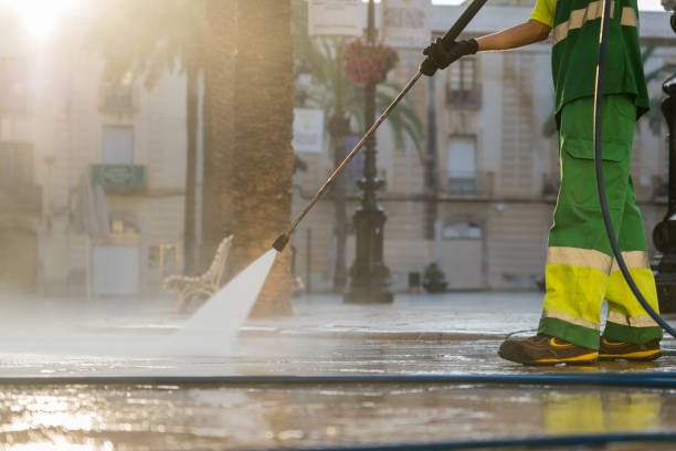 Best Residential Pressure Washing Services  in Chenoa, IL
