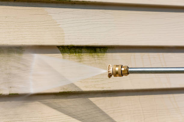 Best Pressure Washing Siding  in Chenoa, IL